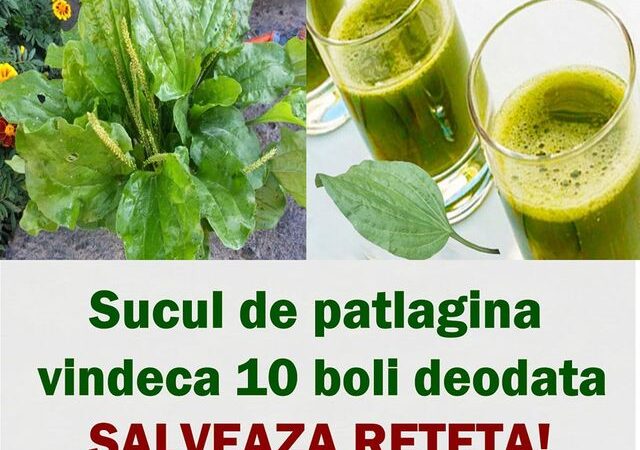 Sucul de pătlagină vindecă 10 boli deodată. Dacă te doare ceva pregătește sucul vindecă-te repede și fii sănătos