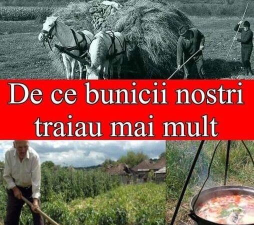 Motivele pentru care bunicii noștri duceau un trai sănătos fără boli și trăiau mai mult decât oamenii moderni de astăzi