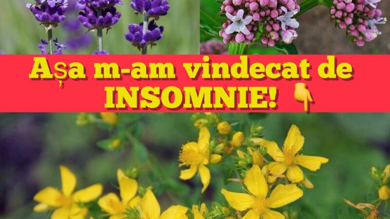 Așa m-am vindecat de insomnie