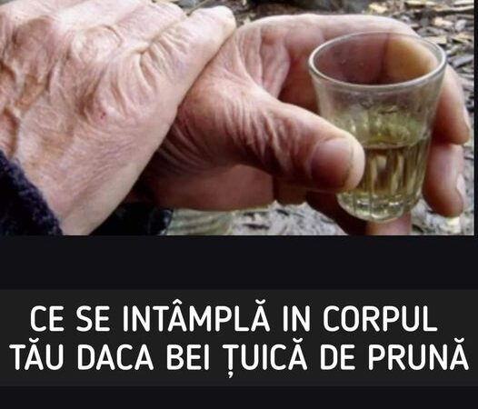 Ce se întâmplă în organismul tău dacă bei ţuică de prune Vei fi uimit