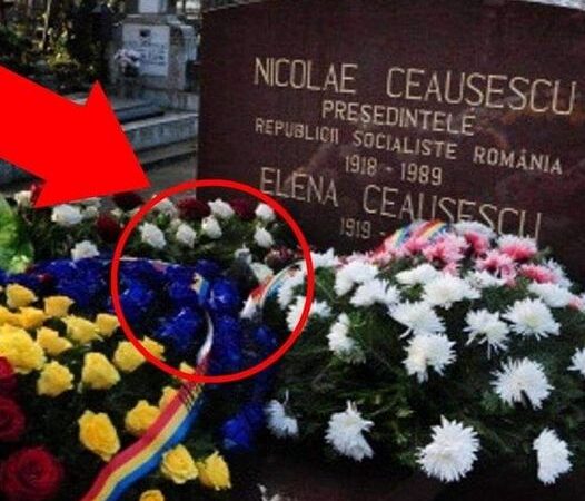 S-a aflat Cine pune flori în fiecare săptămână la mormântul lui Nicolae Ceaușescu. Sunt simpatizanți ai dictatorului