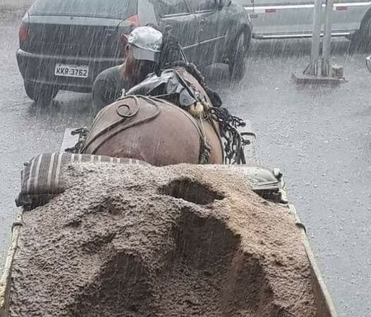 Acest Om Lucra Cu Calul Lui Cand Deodata A Venit O Furtuna Mare. Toata Lum