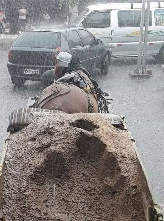 Acest Om Lucra Cu Calul Lui Cand Deodata A Venit O Furtuna Mare. Toata Lum