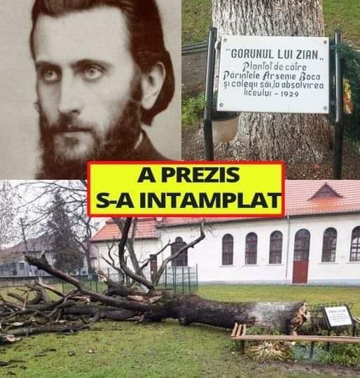 A PREZIS Stejarul lui Arsenie Boca a căzut din senin. Fusese plantat de el. Prezicerea era legata de..