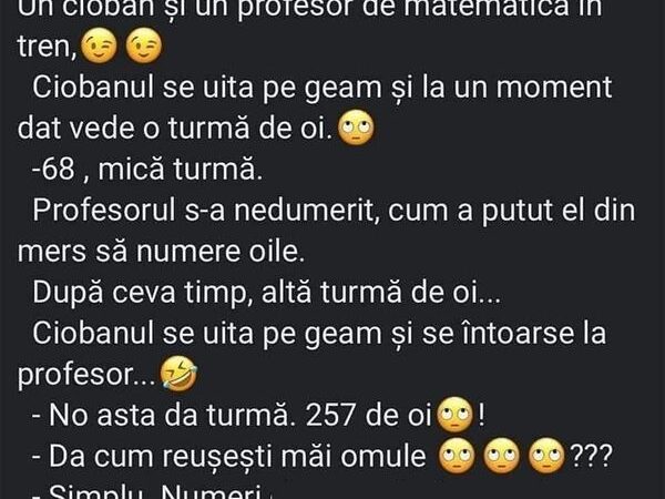 Un cioban și un profesor de matematică în tren