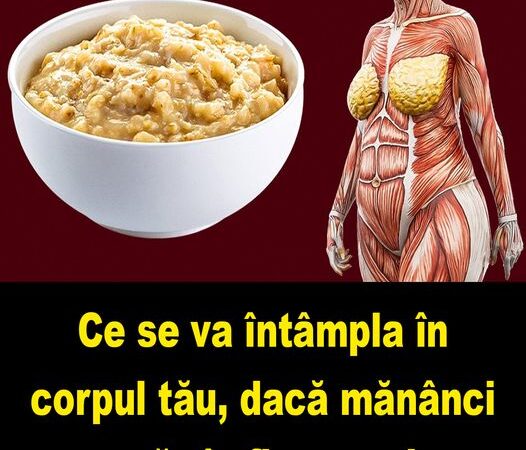 Ce se va întâmpla în corpul tău dacă mănânci ovăz în fiecare zi După doar 2 zile efectele sunt miraculoase