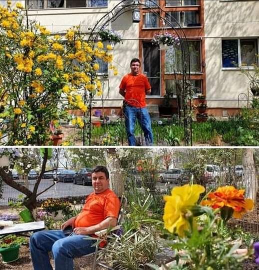 Un bucureștean fost reclamat de zeci de ori pentru ca a plantat flori în grădina blocului. M-a terorizat. În două săptămâni cred că am 20 de reclamații