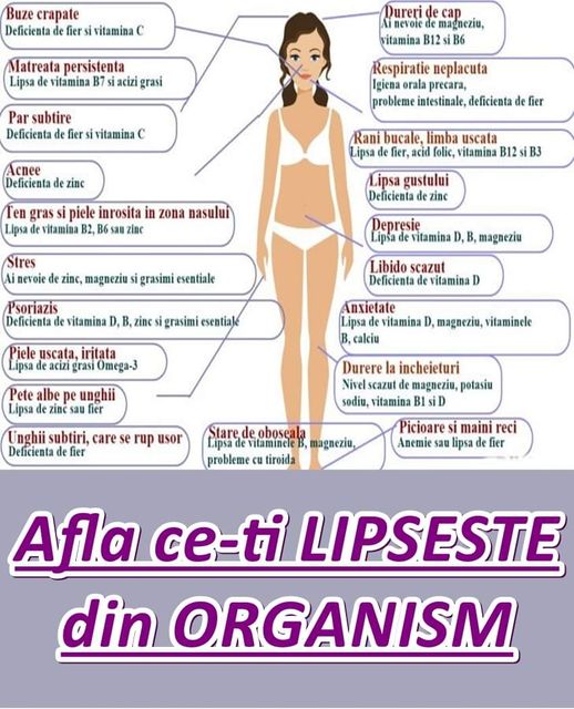 𝗛𝗮𝗿𝘁𝗮 𝗰𝗮𝗿𝗲𝗻ț𝗲𝗹𝗼𝗿 𝗱𝗲 𝗺𝗶𝗻𝗲𝗿𝗮𝗹𝗲 ș𝗶 𝘃𝗶𝘁𝗮𝗺𝗶𝗻𝗲 Află ce-ți 𝘭𝘪𝘱𝘴𝘦ș𝘵𝘦 𝘥𝘪𝘯 𝘰𝘳𝘨𝘢𝘯𝘪𝘴𝘮