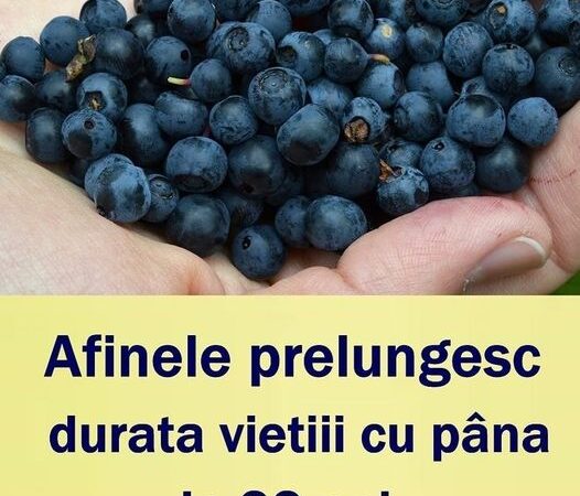 Afinele prelungesc durata vieții cu până la 22 ani Iată ce proprietăți au fructele