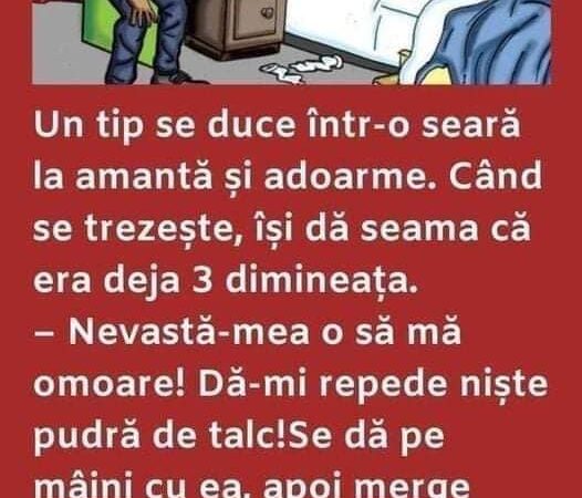 Un tip se duce într-o seară la amantă