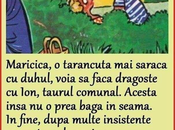 Ion Nu O Prea Baga In Seama Pe Maricica Dupa Multe Insistente Reuseste Sa-L Convinga Bine Zice Ion Dar Am Si Eu O Conditie. In Timp Ce-O Facem Tu Spui Lunile Anului.Zis Si Facut. Se Apuca Ei De Treaba Iar Maricica Incepe Sa Baiguie