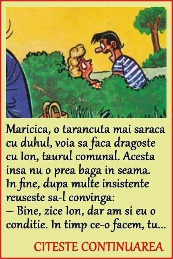 Ion Nu O Prea Baga In Seama Pe Maricica Dupa Multe Insistente Reuseste Sa-L Convinga Bine Zice Ion Dar Am Si Eu O Conditie. In Timp Ce-O Facem Tu Spui Lunile Anului.Zis Si Facut. Se Apuca Ei De Treaba Iar Maricica Incepe Sa Baiguie