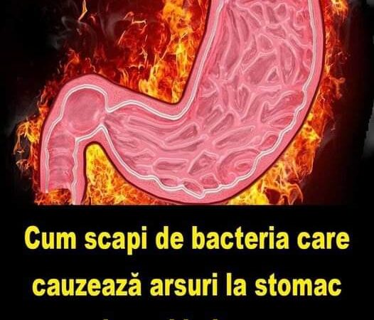 NU IGNORA Cum scapi de bacteria care cauzează arsuri la stomac ulcer și balonare Trebuie sa stii asta