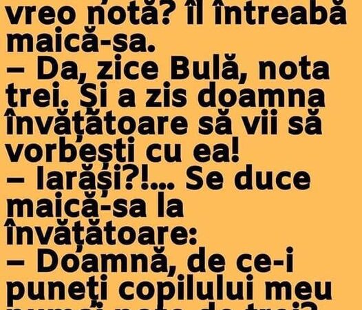 Măi Bulă cum a fost azi la şcoală ai luat vreo notă