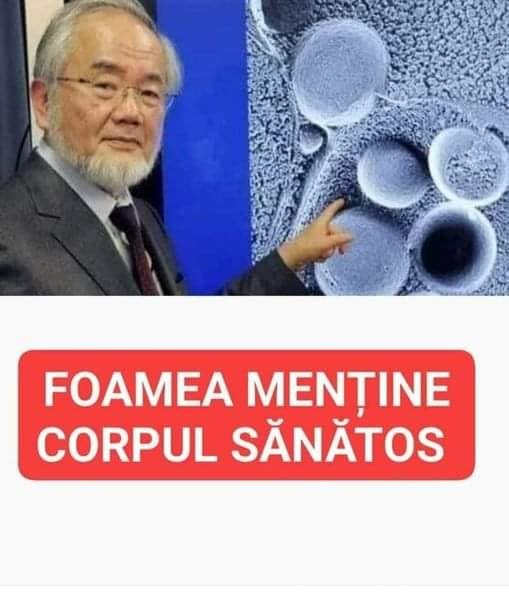 Dieta unui japonez, laureat al Premiului Nobel, care face furori în lume. Are multiple beneficii pentru organism