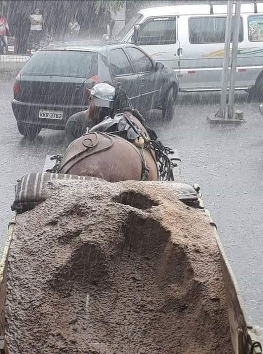 Acest om lucra cu calul lui când deodată a venit o furtună mare