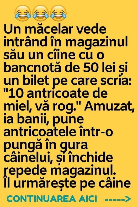 Un măcelar vede intrând în magazinul său un cîine