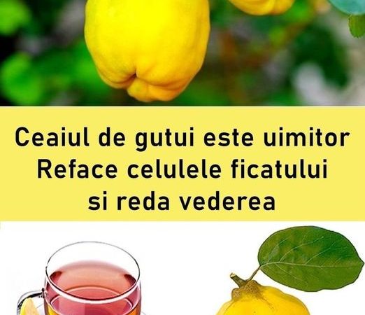 Beneficiile ceaiului din frunze de gutui