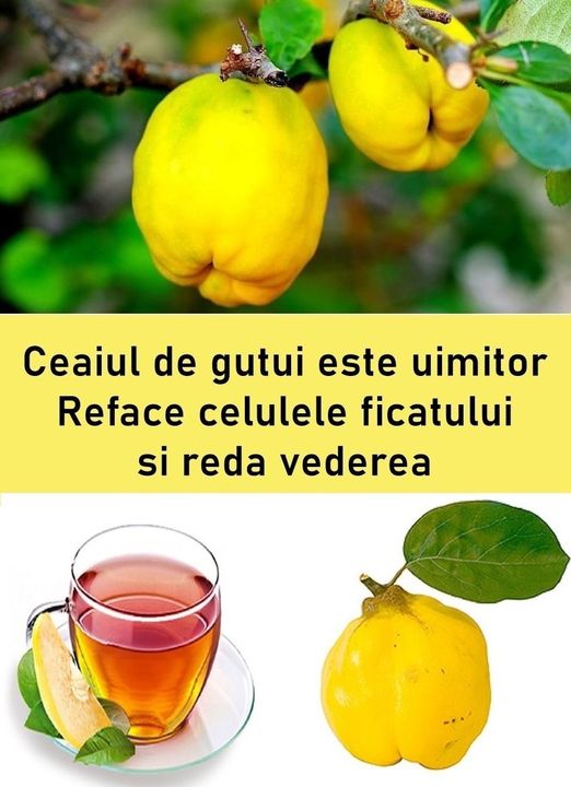 Beneficiile ceaiului din frunze de gutui