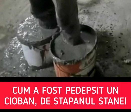 Cioban pedepsit în stil mafiot. Proprietarul stânei l-a băgat cu picioarele în ciment