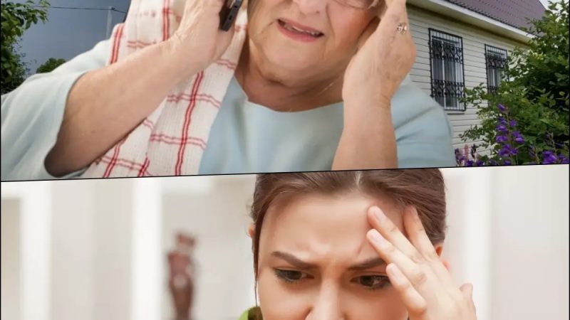 De îndată ce mama și-a vândut casa, fiica și ginerele și-au făcut apariția