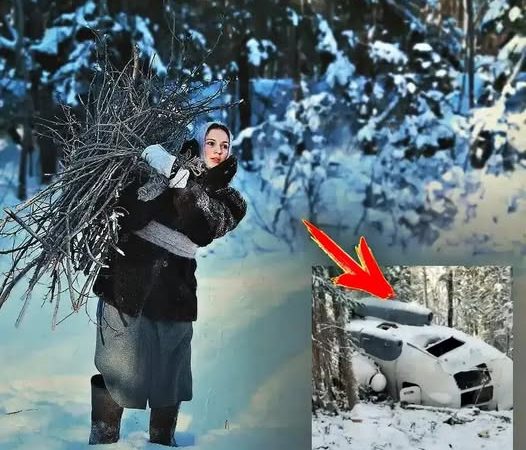 Primind o casă în pustietate, asistenta medicală divorțată a plecat pe ger în pădure după lemne și acolo a dat peste un elicopter prăbușit. Când s-a uitat înăuntru, A ÎNLEMNIT…