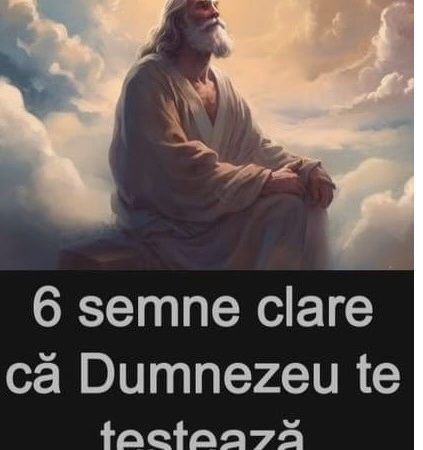 Ai experimentat vreodată că, chiar și după ce te-ai străduit atât de mult, lucrurile nu au mers așa cum ai plănuit?