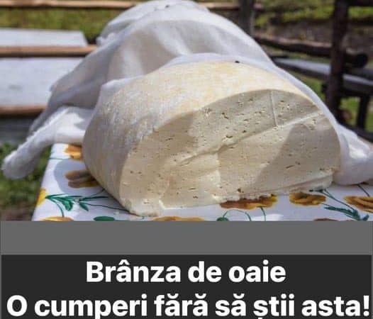 Brânza De Oaie. Adevărul Șocant Despre Această Brânză Extrem De Populară.