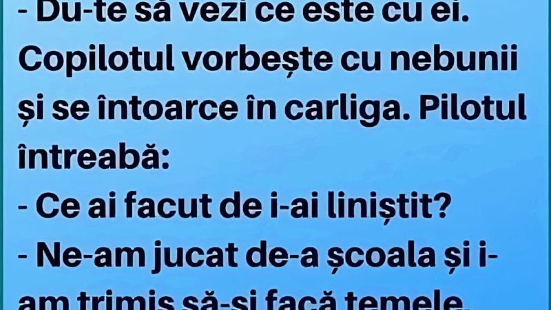 Trei nebuni făceau gălăgie într-un avion